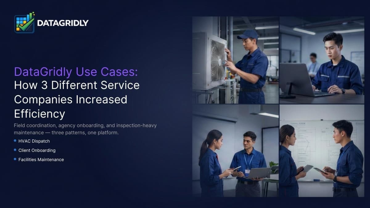 DataGridly Use Cases: How 3 Different Service Companies Increased Efficiency